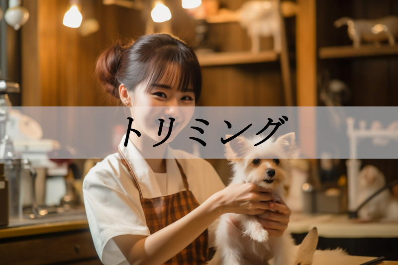 動物病院のトリミング